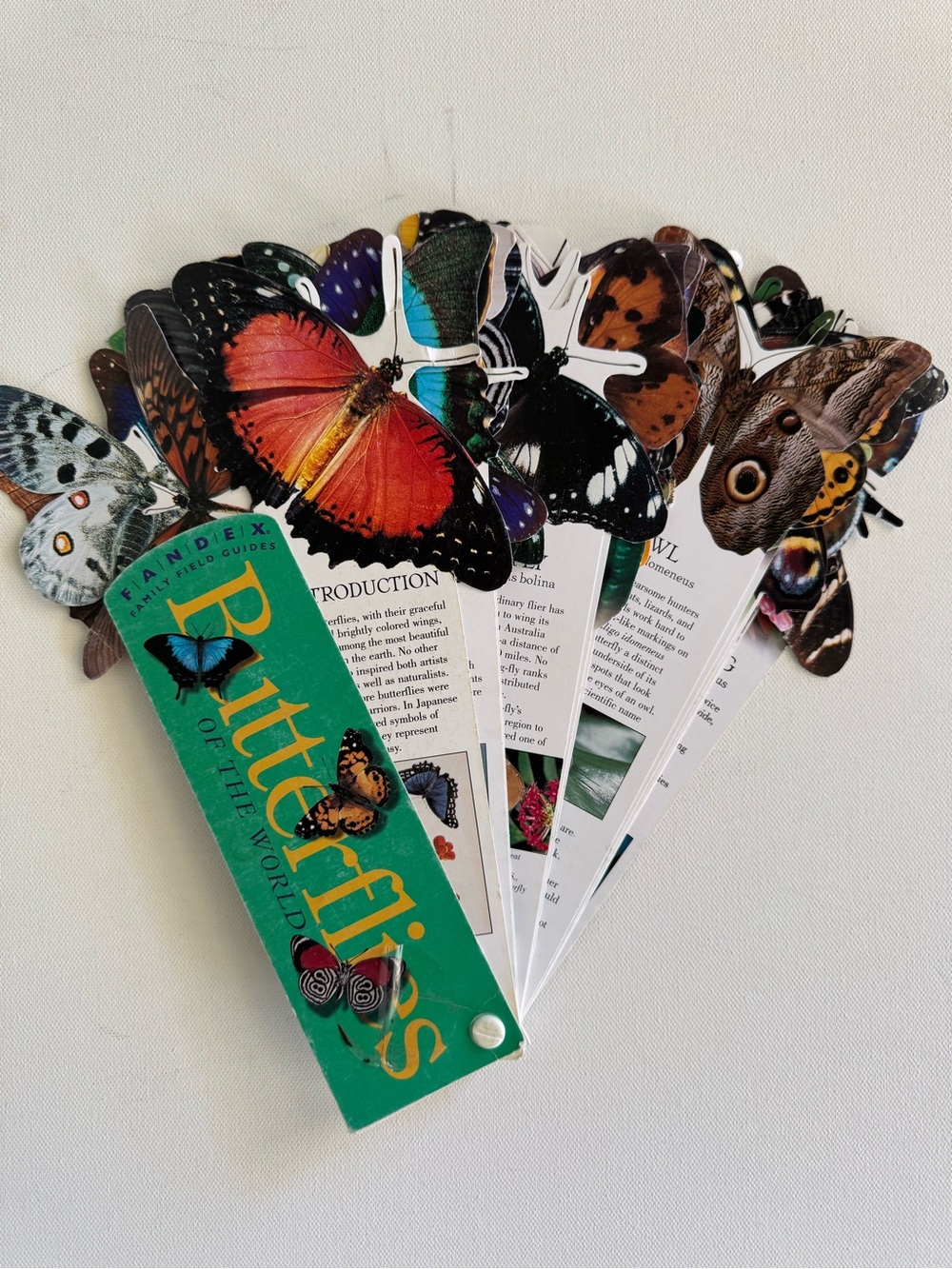 Vintage Butterflies Fandex